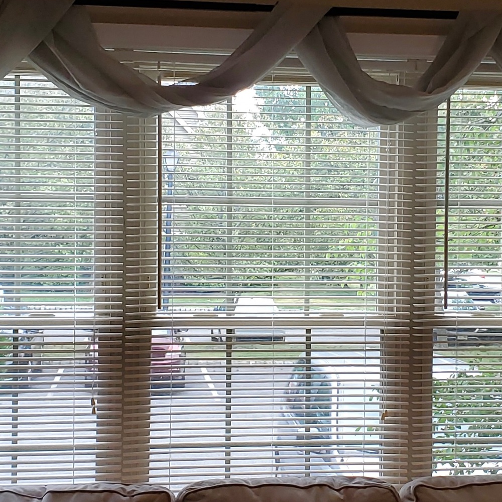 Long Sheer Sage Green Window Scarf - 17' Long